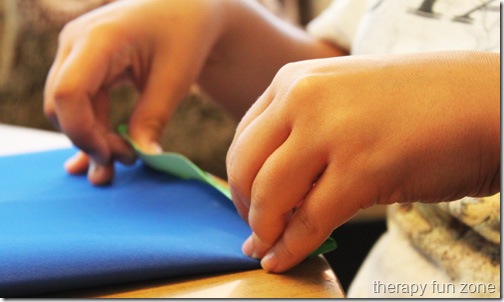 pencil case 5web