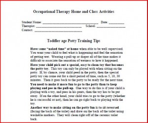 home program potty training tips