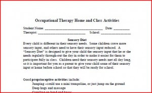 home program sensory diet
