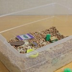 Sensory Search in Rice and Beans