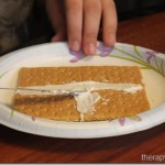Graham Cracker Gingerbread Houses