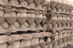 confettieggs1web.jpg