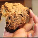 Pine Cone Bird Feeder and Spreading with a Knife
