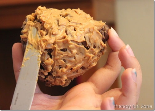 pine cone bird feeder 2web