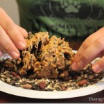 Pine Cone Bird Feeder and Spreading with a Knife