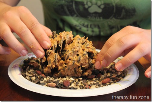 pine cone bird feeder 3web