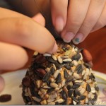 Pine Cone Bird Feeder and Spreading with a Knife