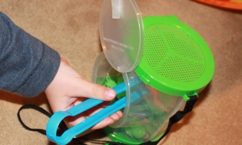 bugswithtongs3web.jpg bugswithtongs3web.jpg