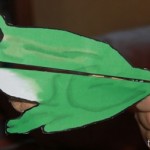 Frog clothespin animal for finger strength