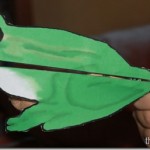 Frog clothespin animal for finger strength